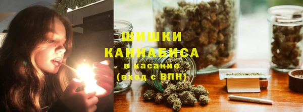 Альфа ПВП Горнозаводск
