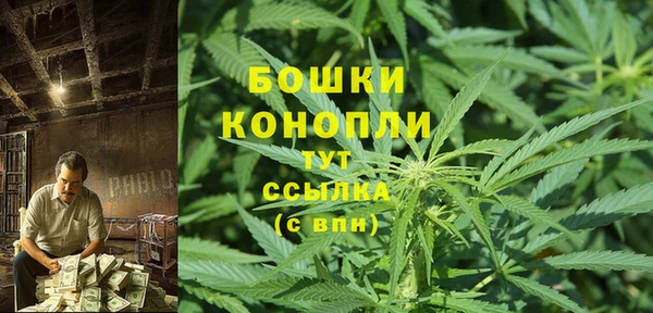 первитин Гусиноозёрск