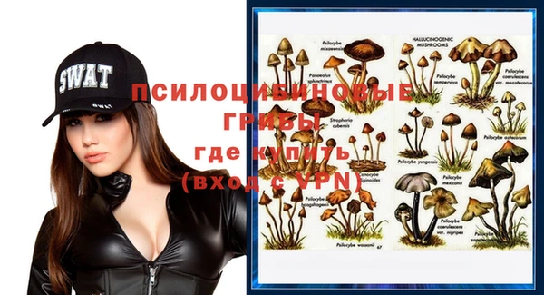 первитин Гусиноозёрск