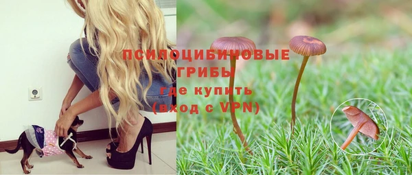 меф VHQ Гусев