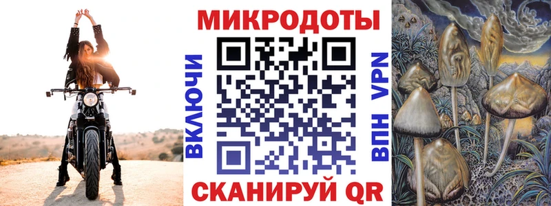 Галлюциногенные грибы мицелий Купить Абдулино